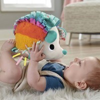 М'яка іграшка Fisher-Price Кольоровий їжачок HBP42