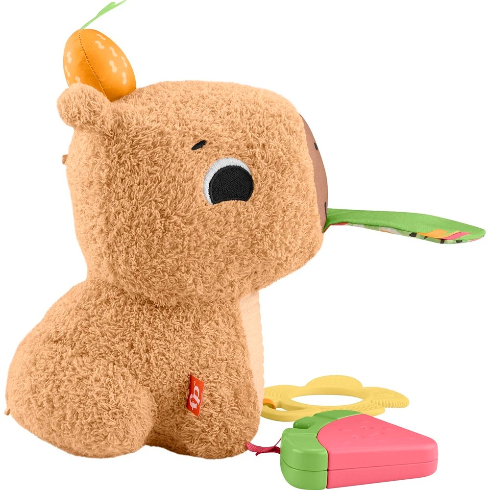 Розвиваюча іграшка Fisher-Price Капібара HYR54