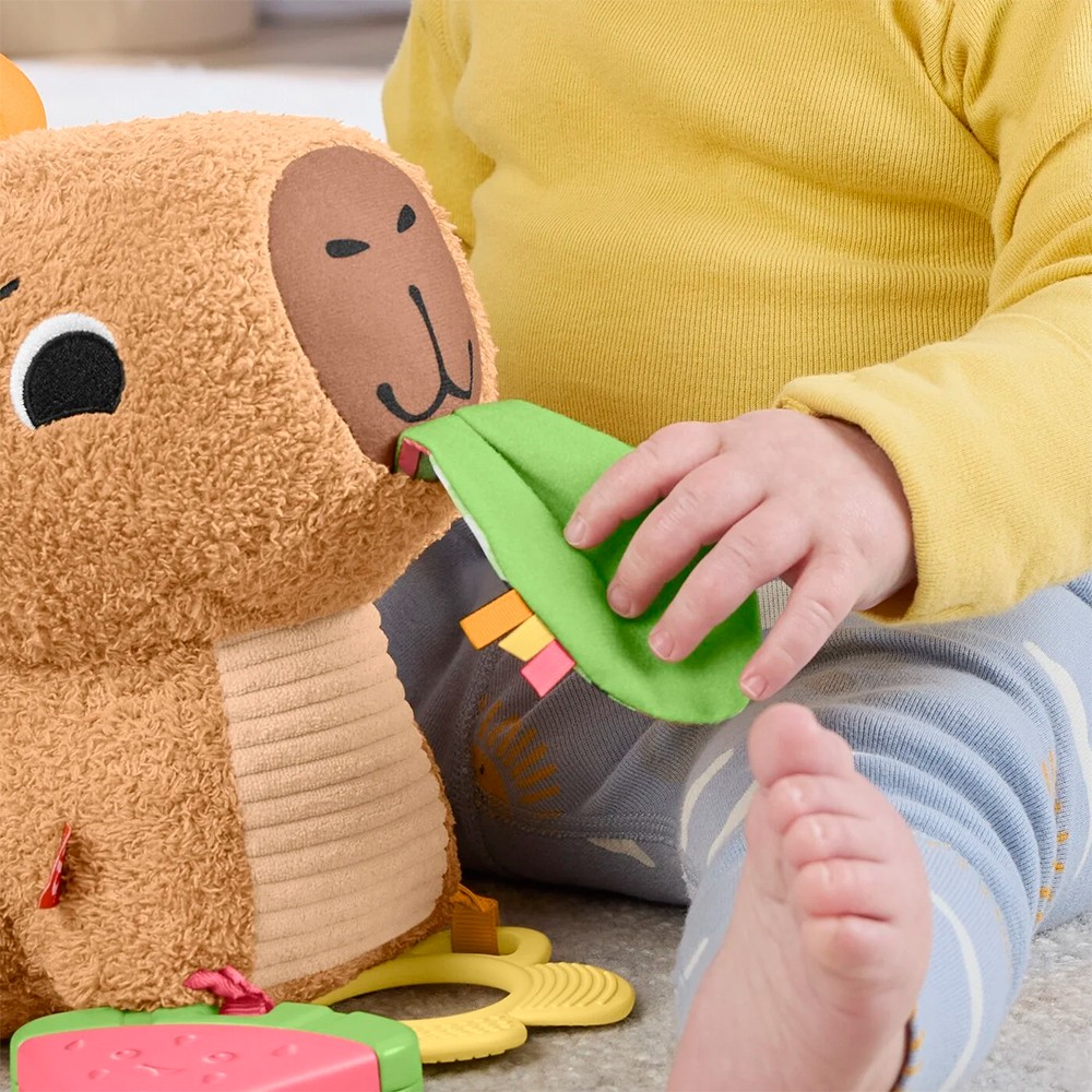Розвиваюча іграшка Fisher-Price Капібара HYR54