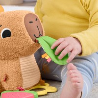 Розвиваюча іграшка Fisher-Price Капібара HYR54