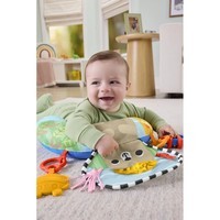 Фото Подушка для гри на животику Fisher-Price Лагідний ведмедик JHB44